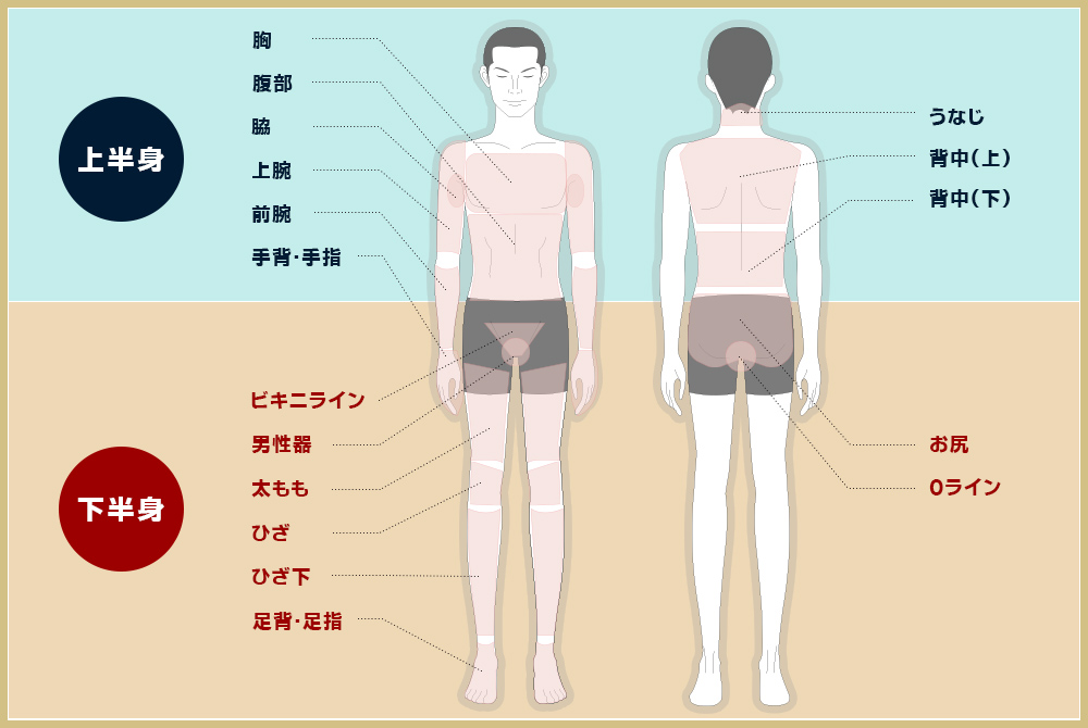体脱毛の脱毛部位