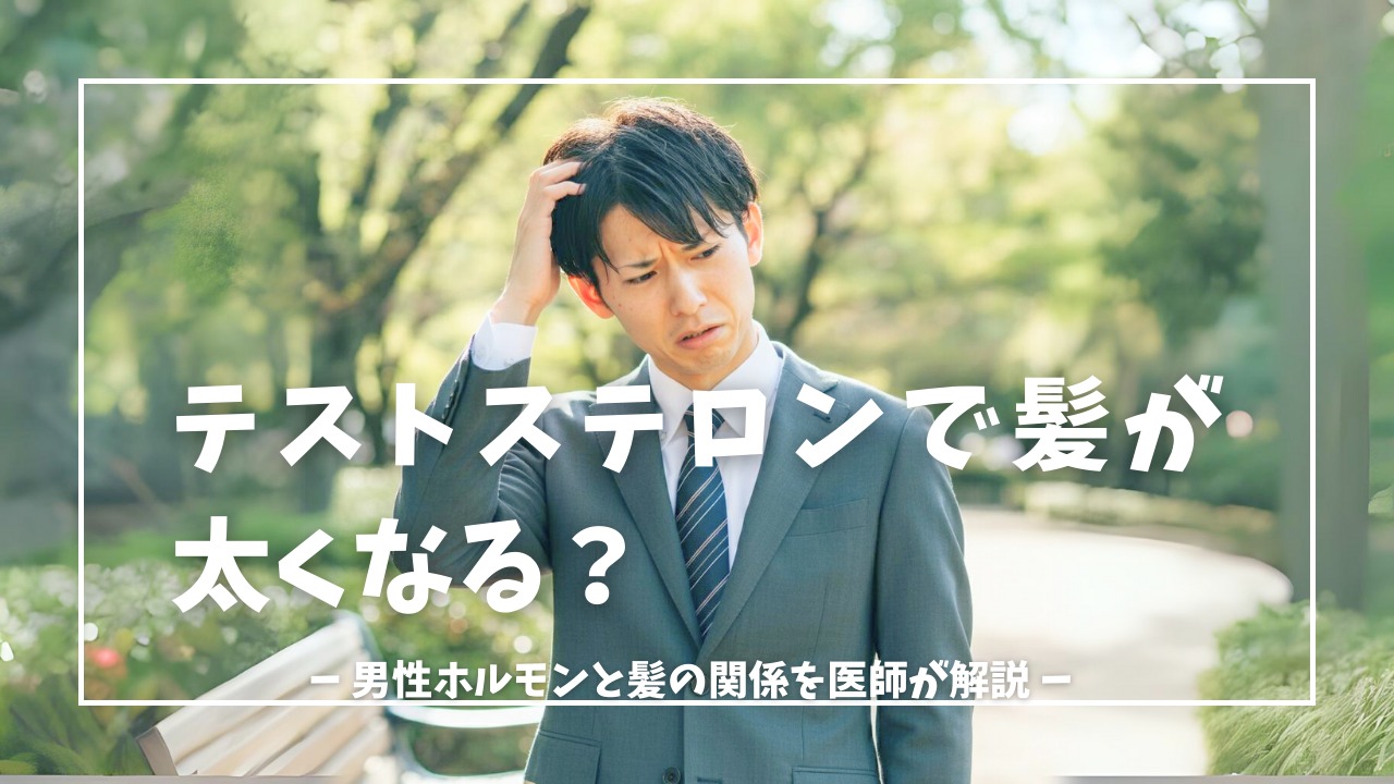 テストステロンで髪が太くなる？