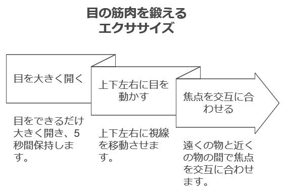 目の筋肉を鍛えるエクササイズ