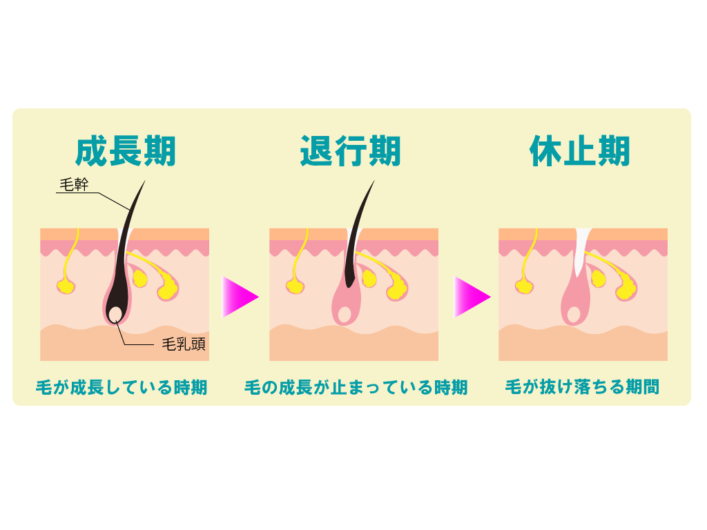 大阪で医療脱毛をお探しの方必見です♪