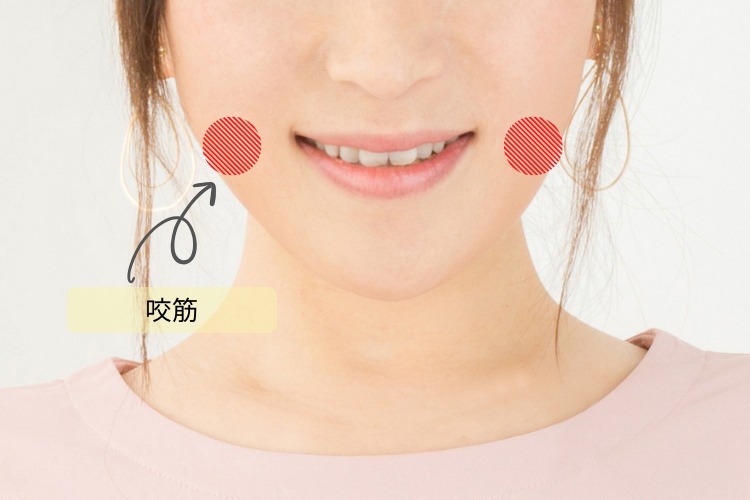 咬筋の図解