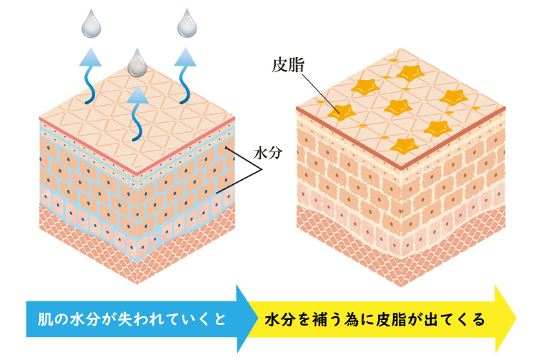 顔が油っぽくなる原因