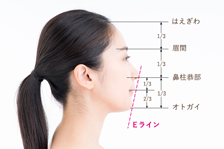 美人顔の基準「Eライン」