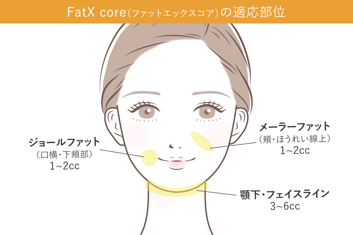 FatX core（ファットエックスコア）の適応部位