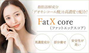 FatX core（ファットエックスコア）