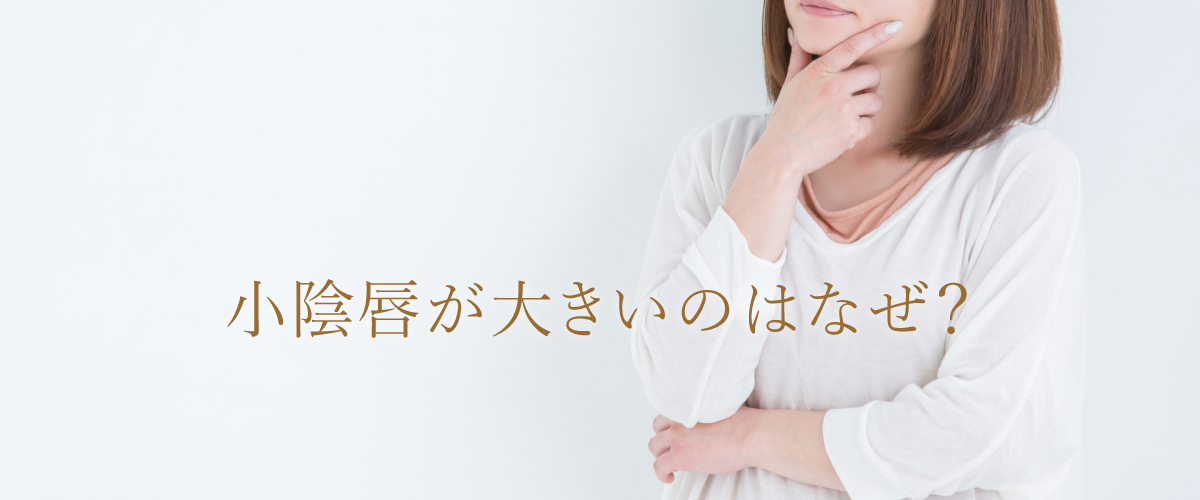 小陰唇が大きいのはなぜ?