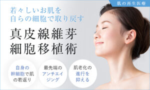 真皮線維芽細胞移植術