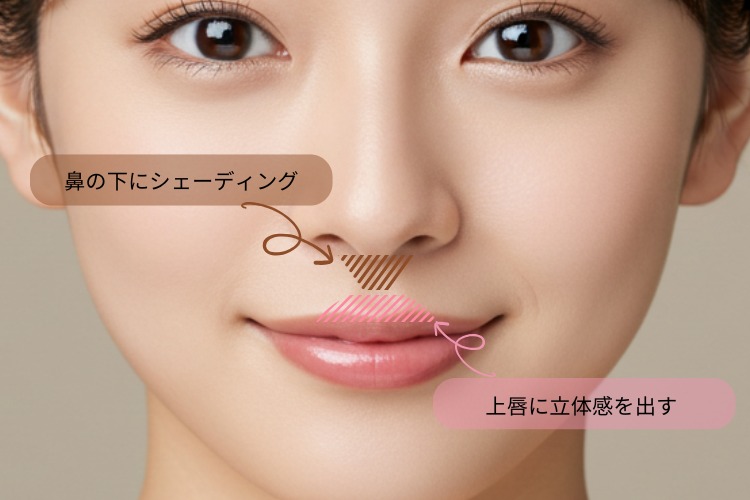 鼻の下を短く見せるメイク