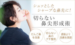 切らない鼻尖形成術