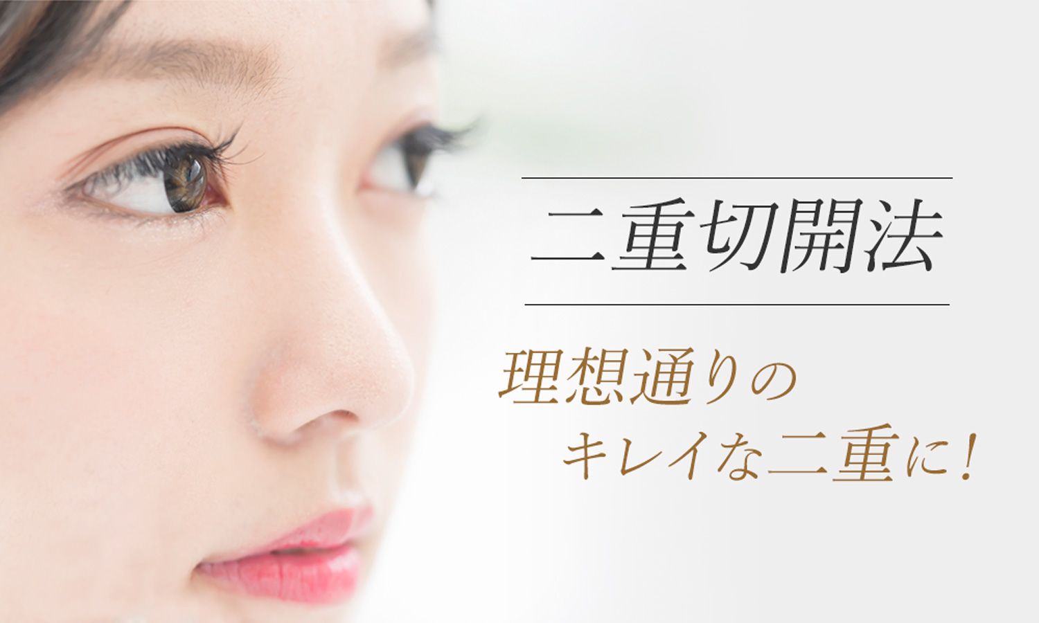 二重切開法