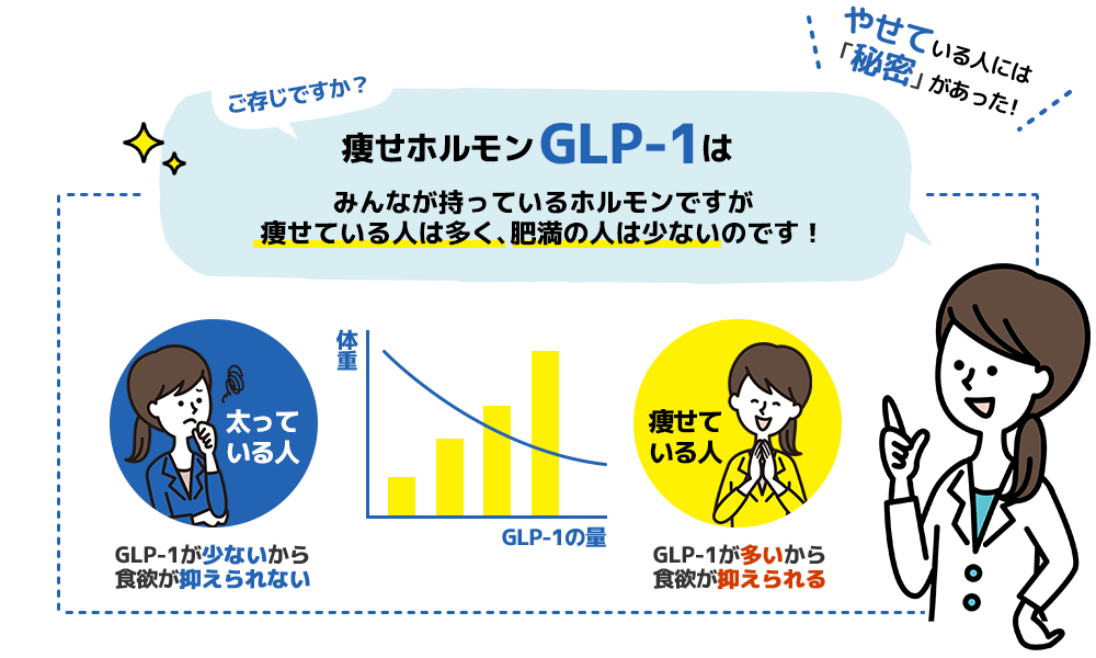 痩せホルモンGLP-1は、痩せている人には多く、肥満の人は少ない