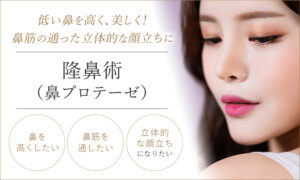 鼻プロテーゼ（隆鼻術）