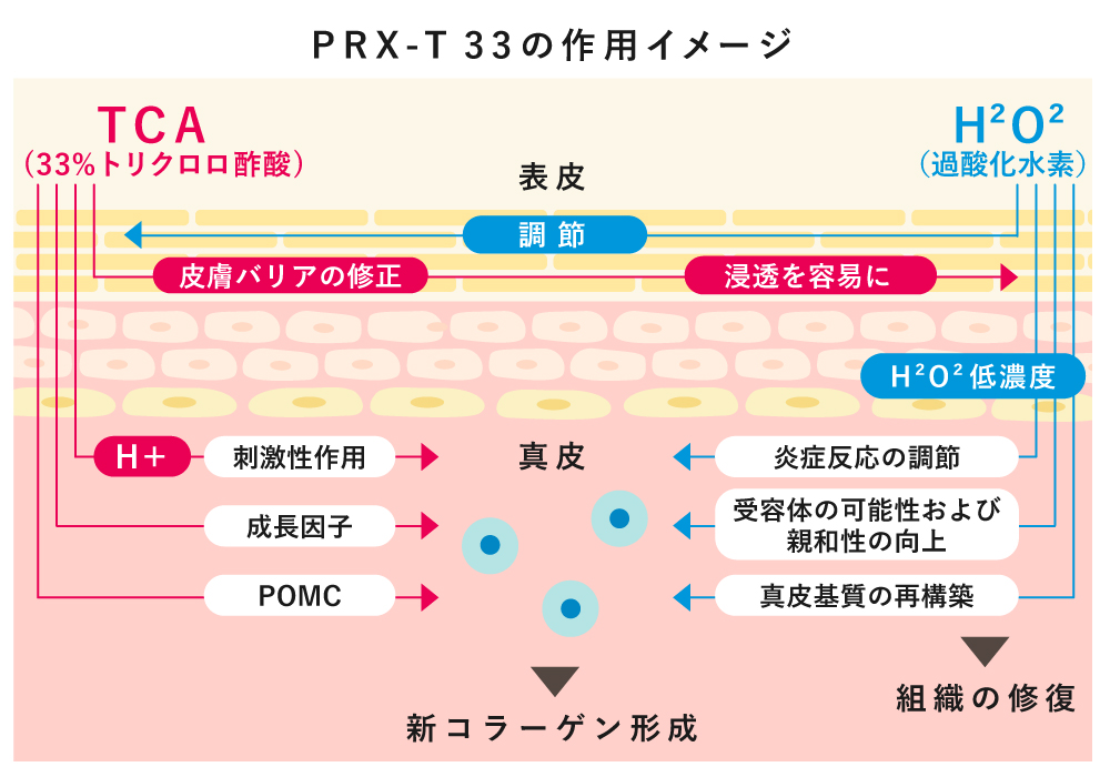 ヴェルベットスキン PRX-R33の作用イメージ