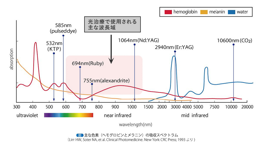 IPL光治療（フォーマα）波長による吸収特性